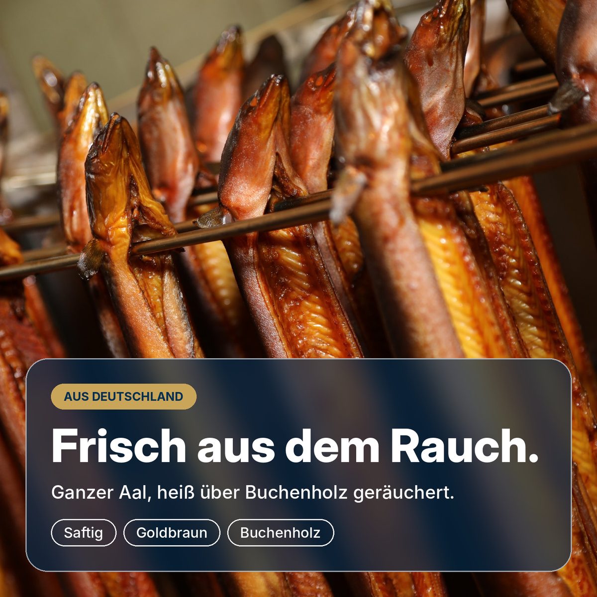 Frisch aus dem Rauch: ganzer Aal aus Deutschland, heiß über Buchenholz geräuchert in unserer Räucherei in Wuppertal, goldbraun und saftig.
