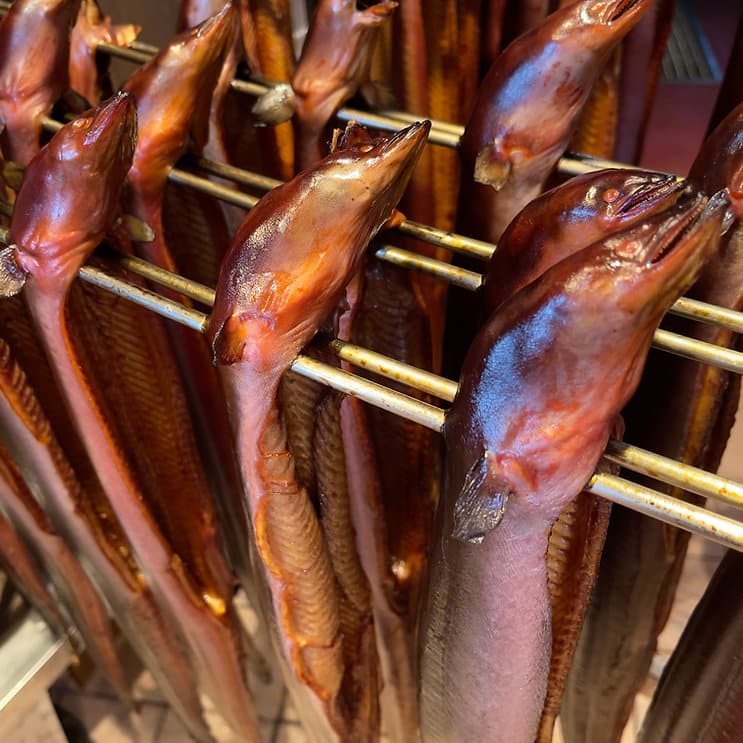 Heißgeräucherte Aale mit kupferfarben glänzender Haut im Räucherofen der Wuppertaler Fischkultur.