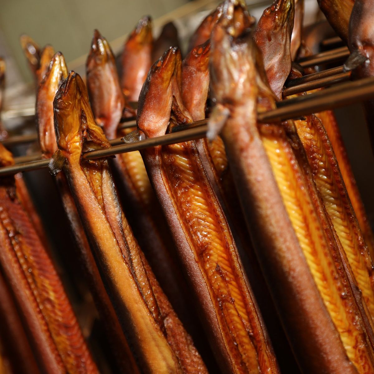 Goldbraun glänzende Aale hängen dicht an dicht auf Metallstangen im Räucherofen, frisch heiß über Buchenholz geräuchert, mit saftigem Fleisch.