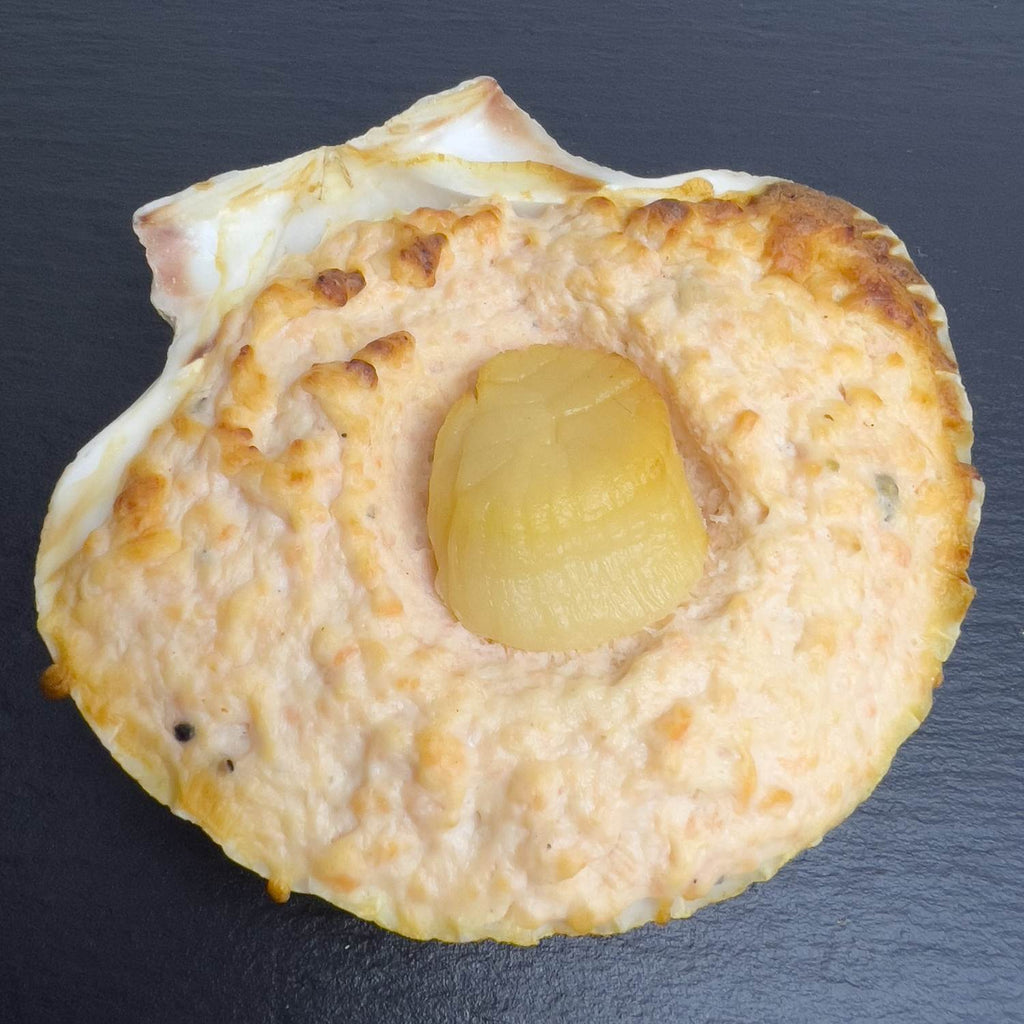 Jakobsmuschel im Lachsbett: ganze Jakobsmuschel auf goldbraun gebackenem Lachs in der echten Muschelschale, auf schwarzer Schieferplatte.