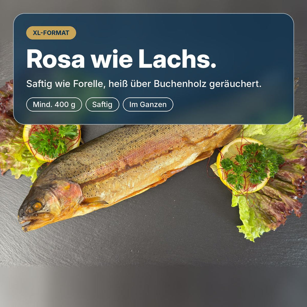 Rosa wie Lachs: ganze Lachsforelle im XL-Format, heiß über Buchenholz geräuchert, saftig und zart, mindestens 400 g.