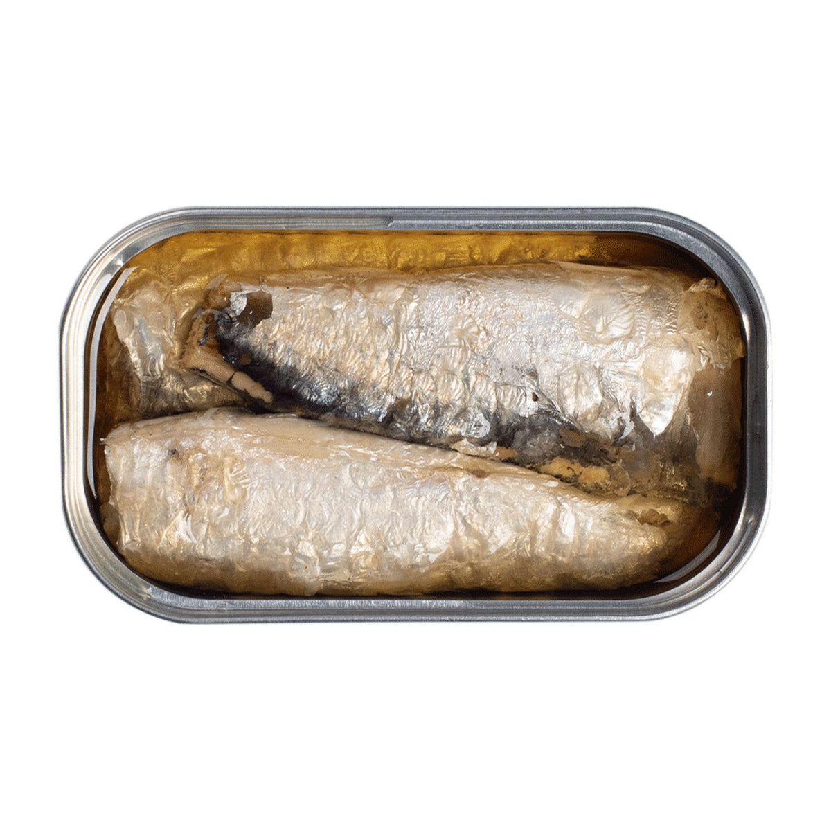 Geöffnete Dose mit Makrelenfilets in Olivenöl von José Gourmet.
