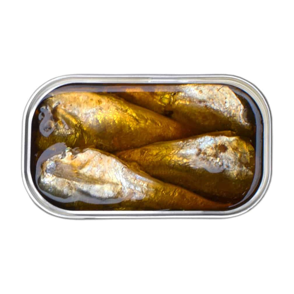 Geöffnete Dose mit marinierten Holzmakrelen in Olivenöl von José Gourmet.