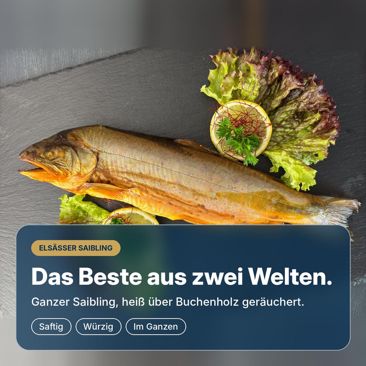   Das Beste aus zwei Welten: ganzer Saibling aus See- und Bachsaibling, heiß über Buchenholz geräuchert, saftig und aromatisch.